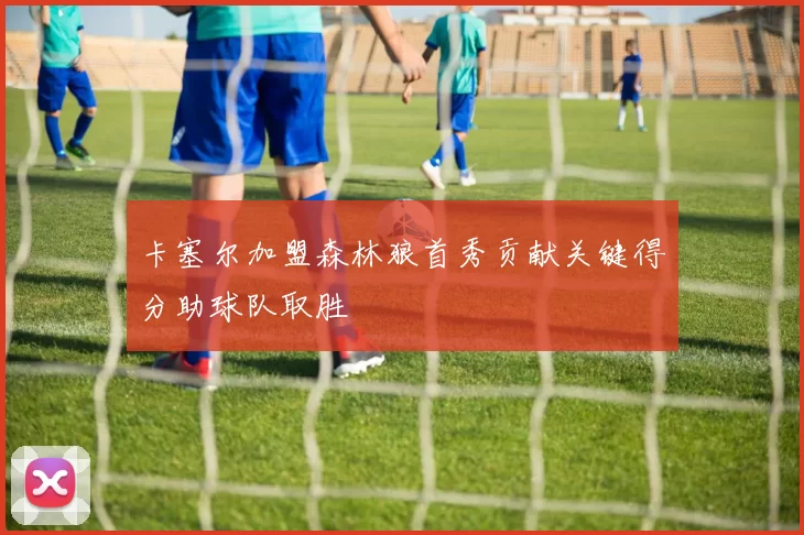卡塞尔加盟森林狼首秀贡献关键得分助球队取胜