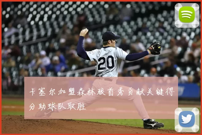 卡塞尔加盟森林狼首秀贡献关键得分助球队取胜