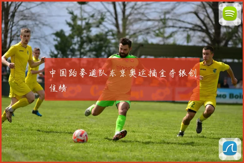中国跆拳道队东京奥运摘金夺银创佳绩