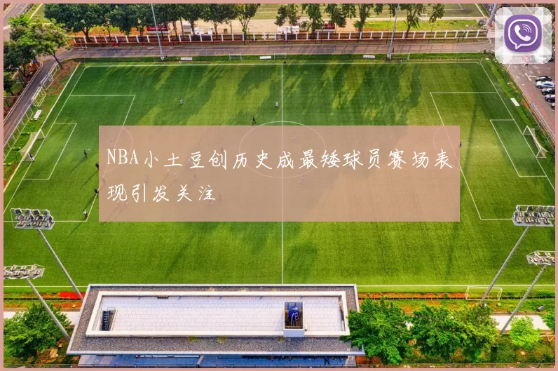 NBA小土豆创历史成最矮球员赛场表现引发关注