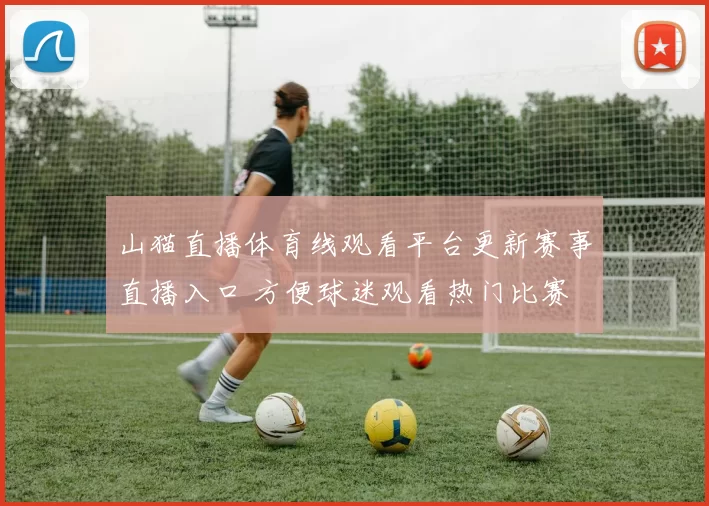 山猫直播体育线观看平台更新赛事直播入口 方便球迷观看热门比赛