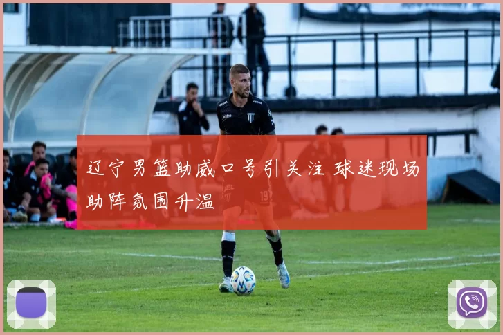 辽宁男篮助威口号引关注 球迷现场助阵氛围升温