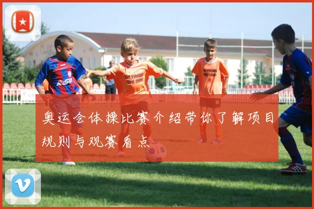 奥运会体操比赛介绍带你了解项目规则与观赛看点
